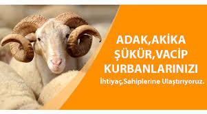 Adak & Kurban Bağışı
